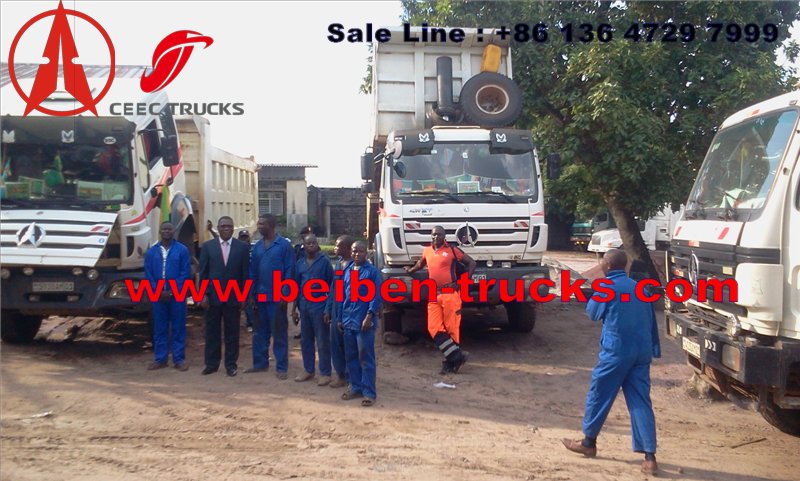Afrique Congo Beiben fournisseur de camions à benne basculante
