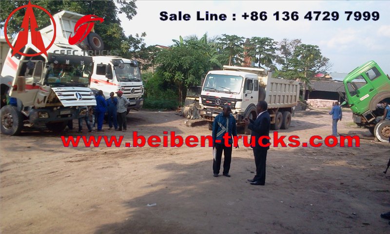 Afrique Congo Beiben fournisseur de camions à benne basculante